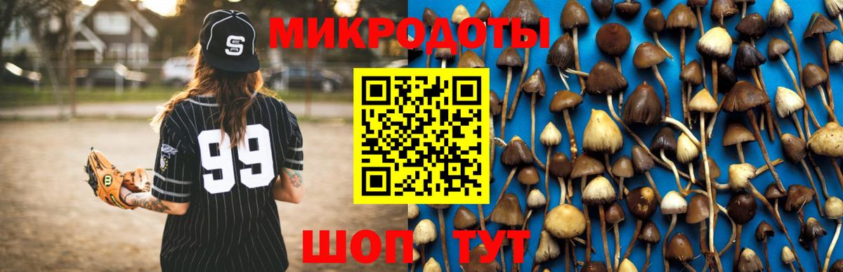 Галлюциногенные грибы Psilocybine cubensis Щёлково